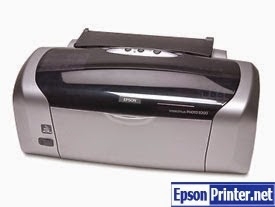 Reset Epson R200 printer use Epson Waste Ink Pad Counters resetter