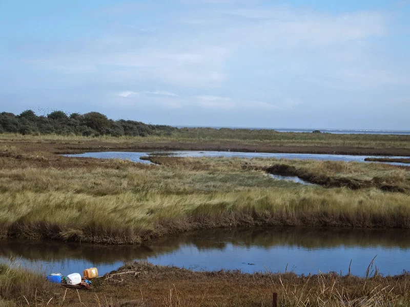 Humber and North Lincolnshire Wildfowlers Club