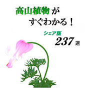 高山植物がすぐわかる 2.4.0 Icon