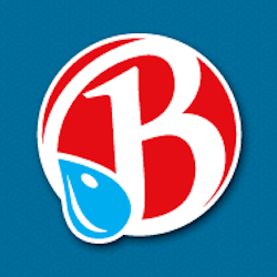 Brooklyn Water Bagel logo