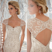 Wedding Dresses Designs Ideas  Icon