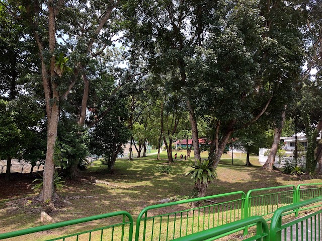 MacRitchie Reservoir Park