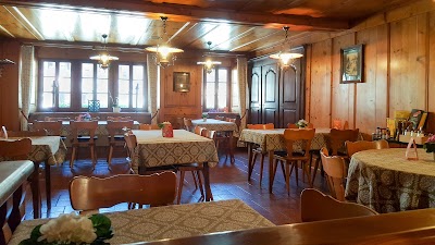 Photos of The lily