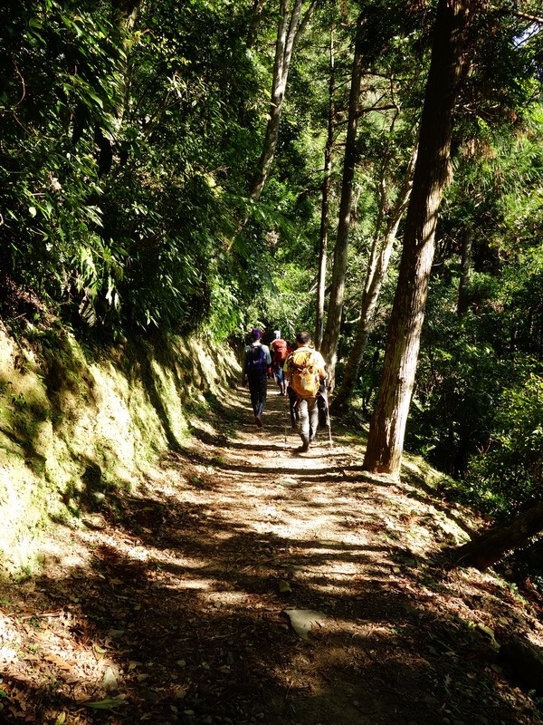 2013_1207 東滿步道→拉卡山→北插天山水源地_033