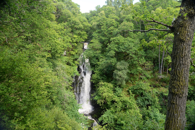 Stirling, Angus, Aberdeenshire y Moray - Castillos y cascadas en Escocia (2015) (45)