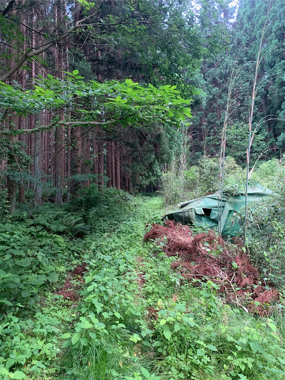 エクストレイルの林道・林道アタック・林道走行・T31・エクストレイルに関するカスタム事例の投稿画像5枚目