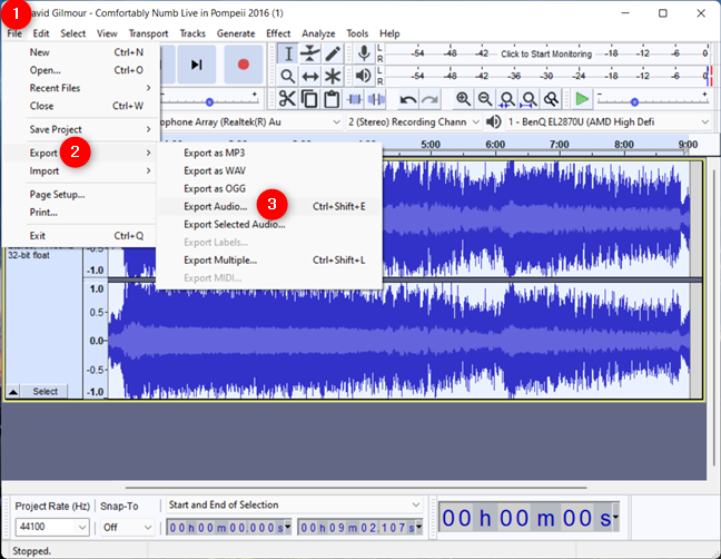 Scegli di esportare l'audio