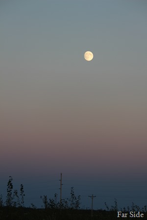 Moon  at sunset