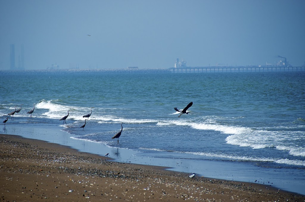 Sohar beach