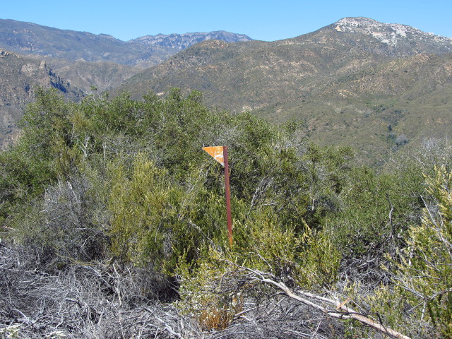 yellow triangular metal sign by piles of dead wood