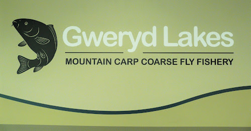 Gweryd Lakes Fishing