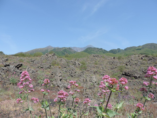 Etna: de zuidhelling.