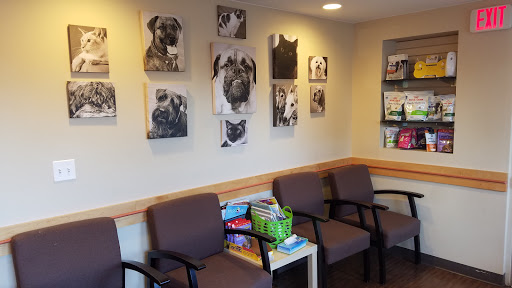 Veterinarian «Wright Animal Hospital», reviews and photos