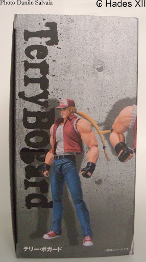 [REVIEW] The King Of Fighters 94 - Terry Bogard D-arts -  by Hades XII DSCI9765