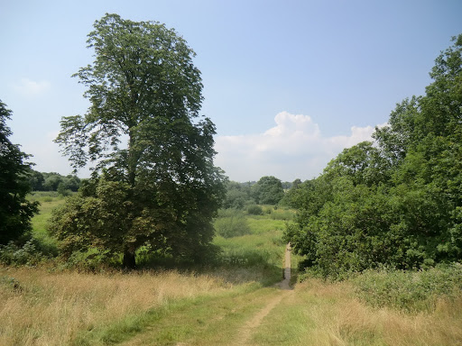 CIMG8042 Shalford Water Meadows