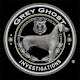 Grey Ghost Investigations - Private Investigator Fort Lauderdale