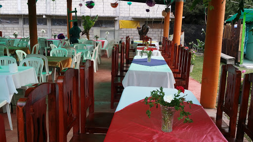 La Trucha Escondida Restauran, Artillería Ote. 21, Primera de Chichimequillas de Escobedo, 61514 Zitácuaro, Mich., México, Restaurante | MICH