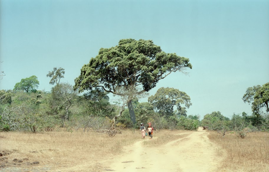 Fouta Djalon, Guinea
