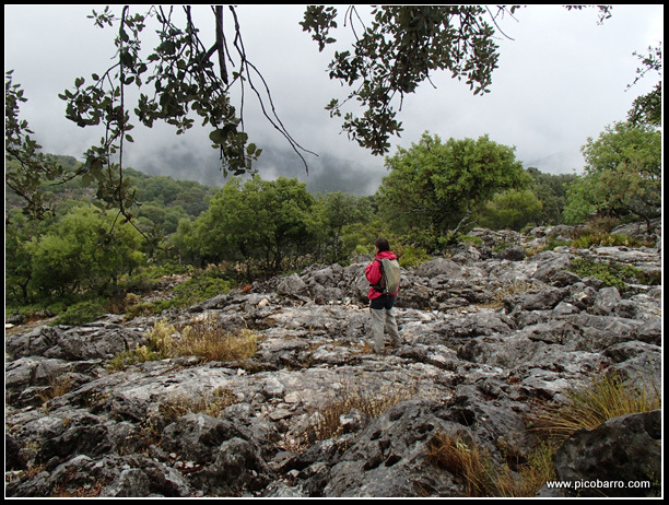 Picobarro - Llanos del Campo - Las Peñuelas - Albarracinejo