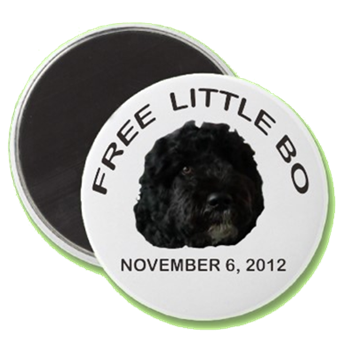 free little bo magnet-transparent