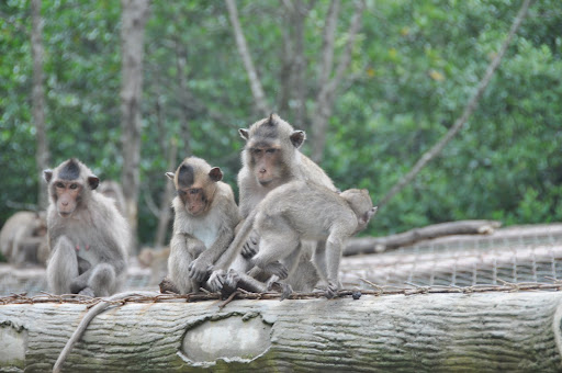 Thông báo sinh hoạt 12/02/2012 DSC_0689