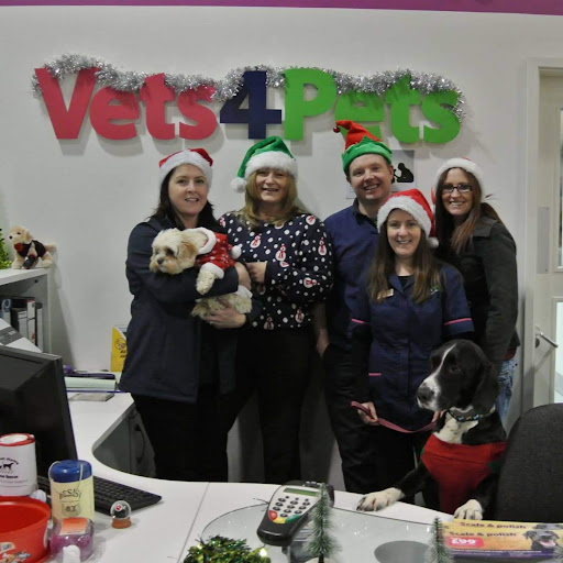 Vets4Pets - Lisburn