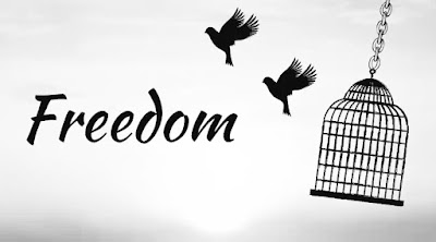 Right to freedom