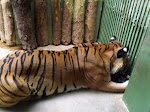 DSCF5372.JPG