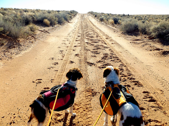 Walking the road