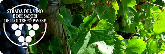 Strada del Vino e dei Sapori dell'Oltrepò Pavese