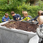 compost - klas juf Eefje (8).JPG