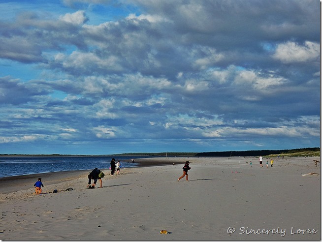 Nairn Beach 1