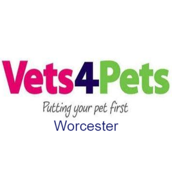 Vets4Pets - Worcester logo