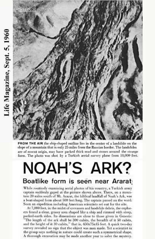 A arca de Noé 05