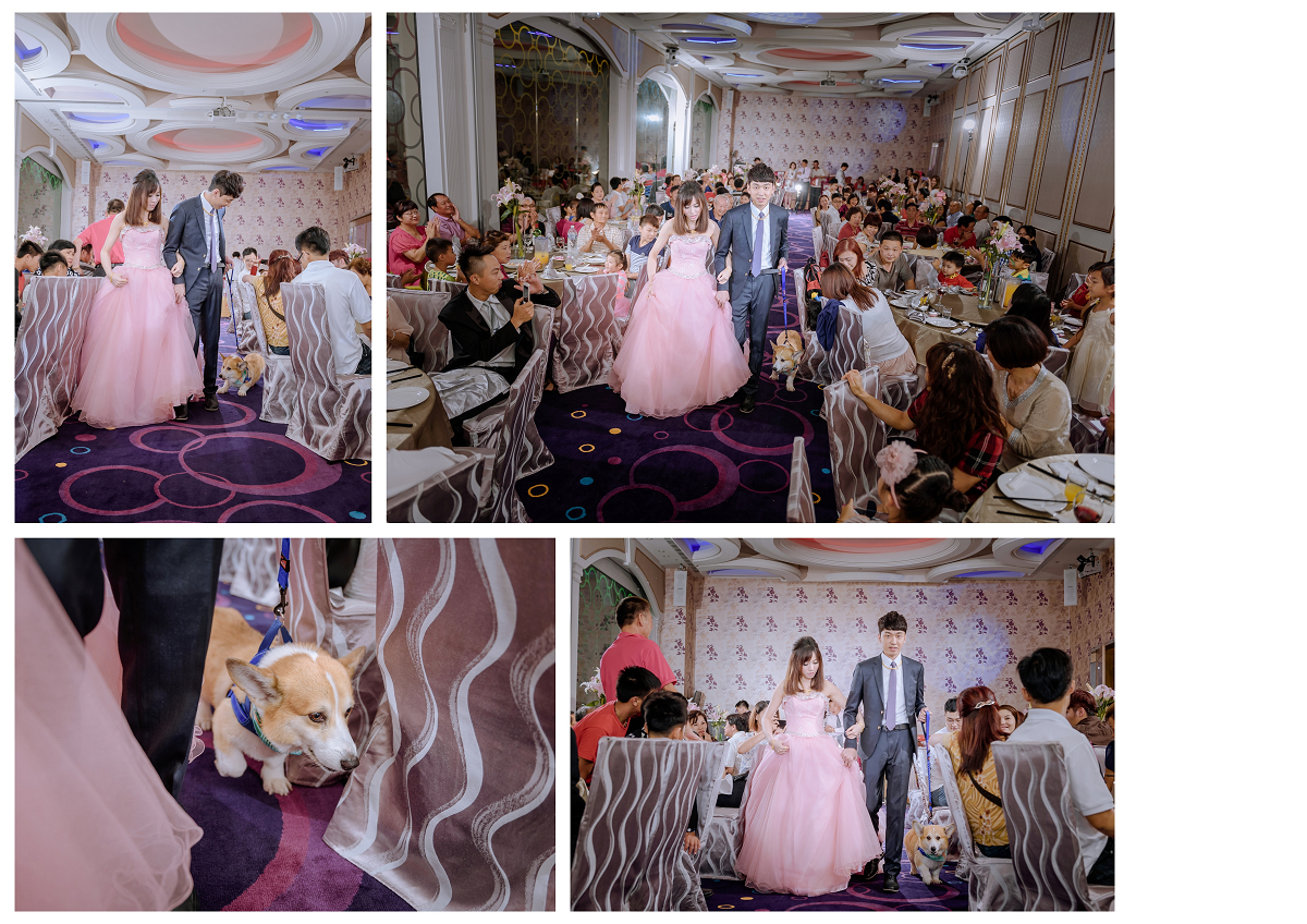 “就是愛趴趴照,婚攝趴趴照,婚攝,新北北婚攝,桃園婚攝,婚攝推薦,自助婚紗,新店豪鼎”