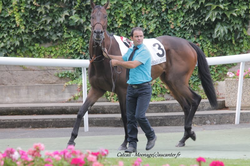 Photos Maisons-Laffitte 5-07-2015 IMG_2440