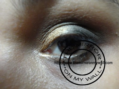 Smokey Gold Eye 6.jpg