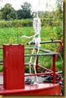 skeletona