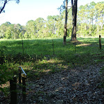 Track behind the farms near Kilkenny Road (370459)