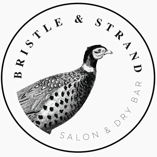 Bristle and Strand A Salon and Dry Bar logo