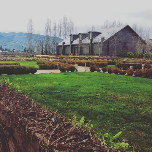 Kelham Vineyards