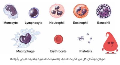 أمراض الدم pdf