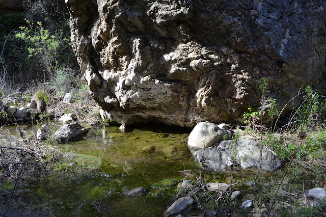 rocks and water