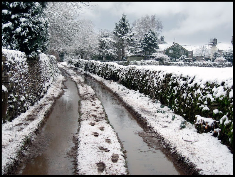 Snow2-2