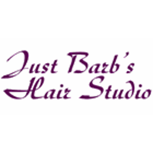 Just Barb's Hair Studio logo