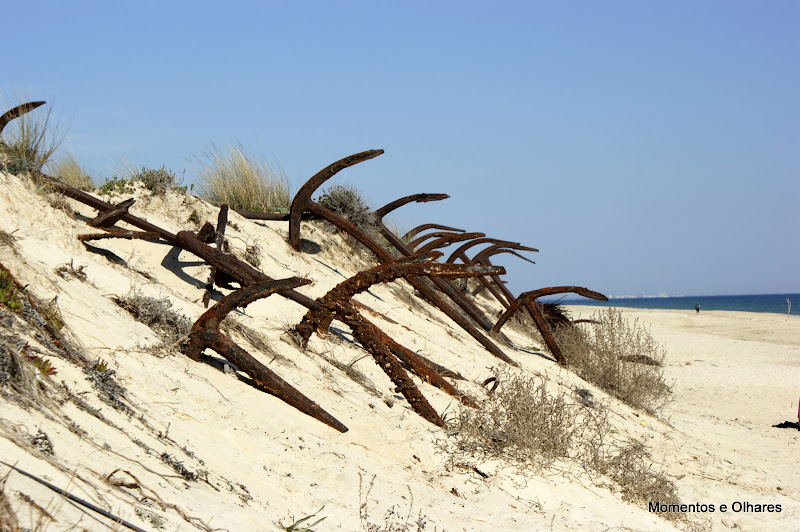 Praia do Barril - Tavira - Algarve