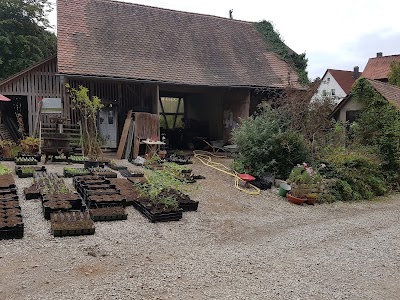 Photos of G&auml;rtnerei Gartenreich Oberrieden