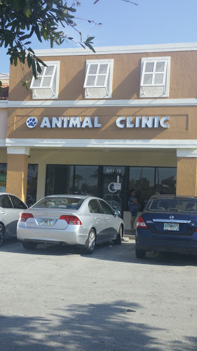 Veterinarian «Paradise Animal Clinic», reviews and photos