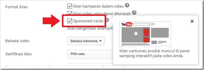 Setelan Format Iklan YouTube