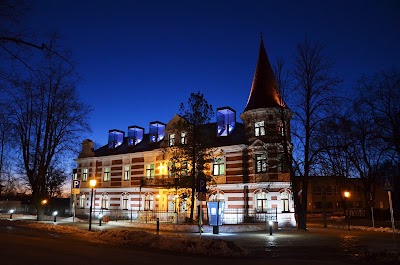 Photos of Cesis central library